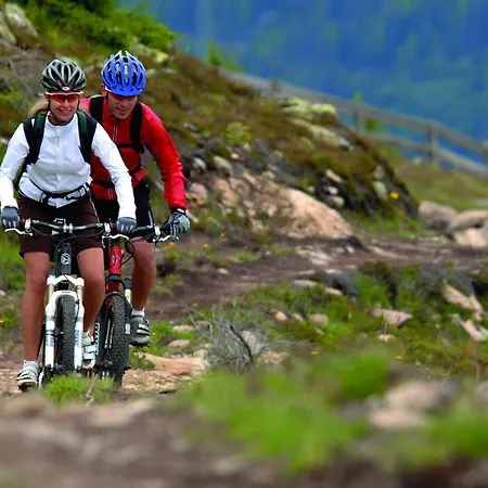 Geigers Lifehotel Serfaus